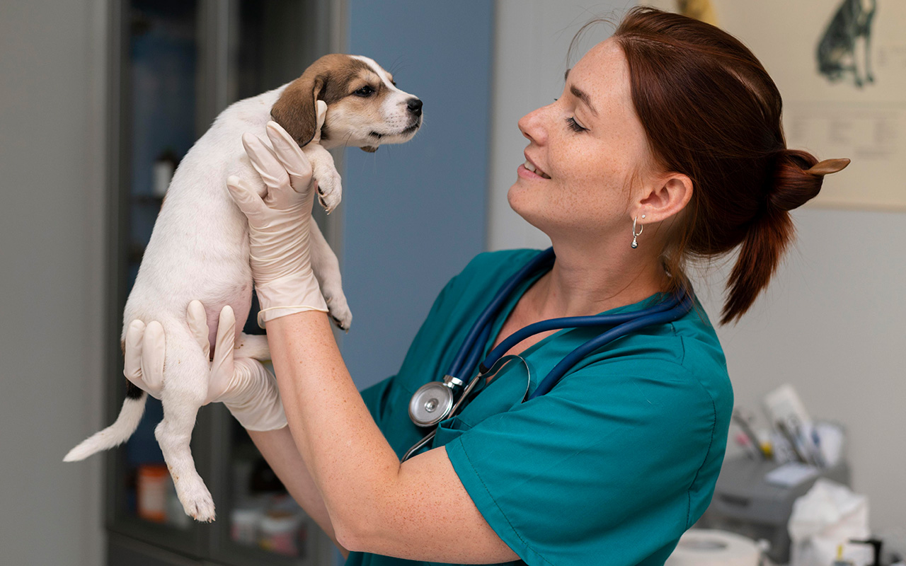 Los beneficios de un programa para consulta veterinaria